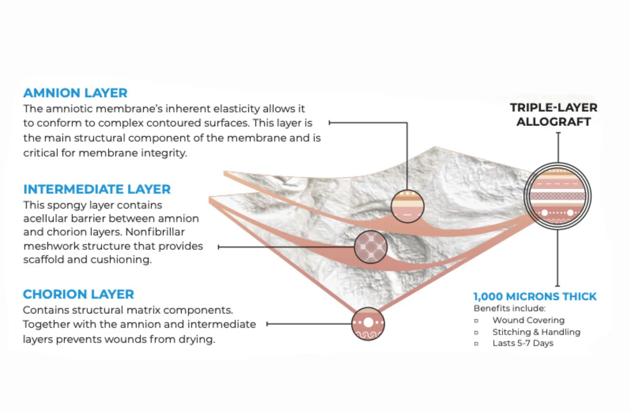 Dermabind TL